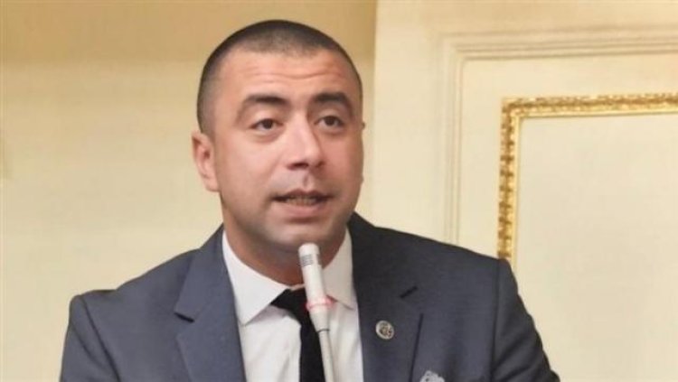 نائب «حماة الوطن» يكشف موقف حزبه من قانون إنشاء المجلس الأعلى لـ«صناعة السيارات»
