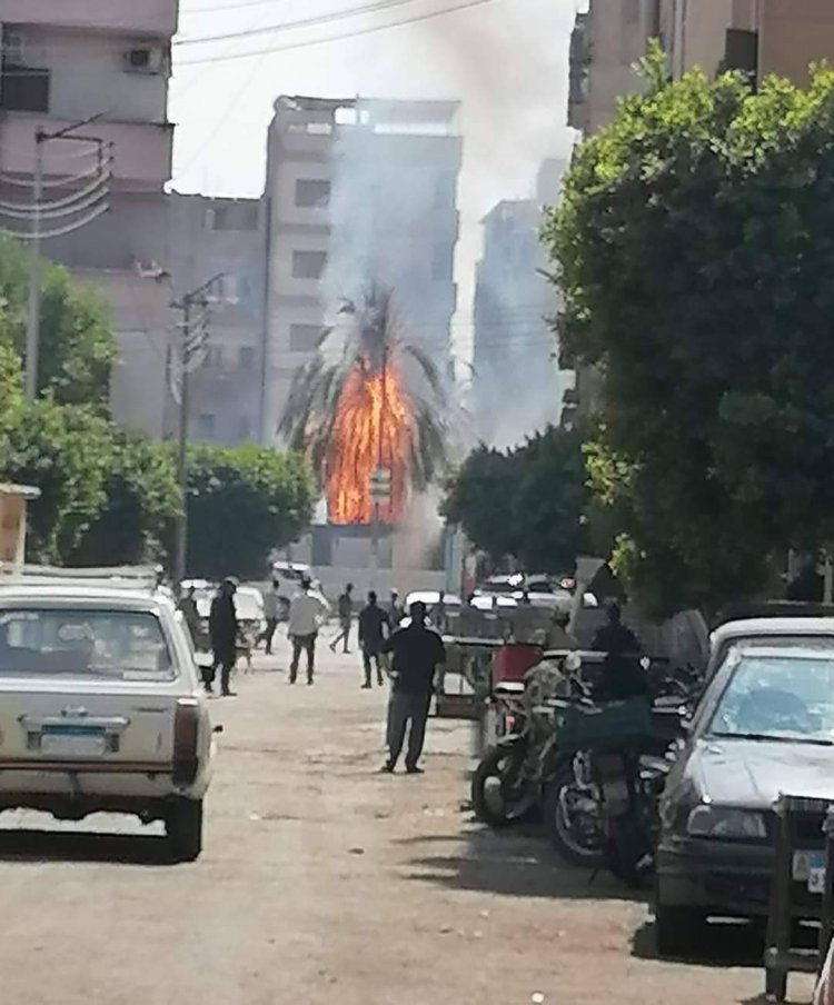 نشوب حريق في أشجار نخيل بجوار محطة سكك حديد نجع حمادي