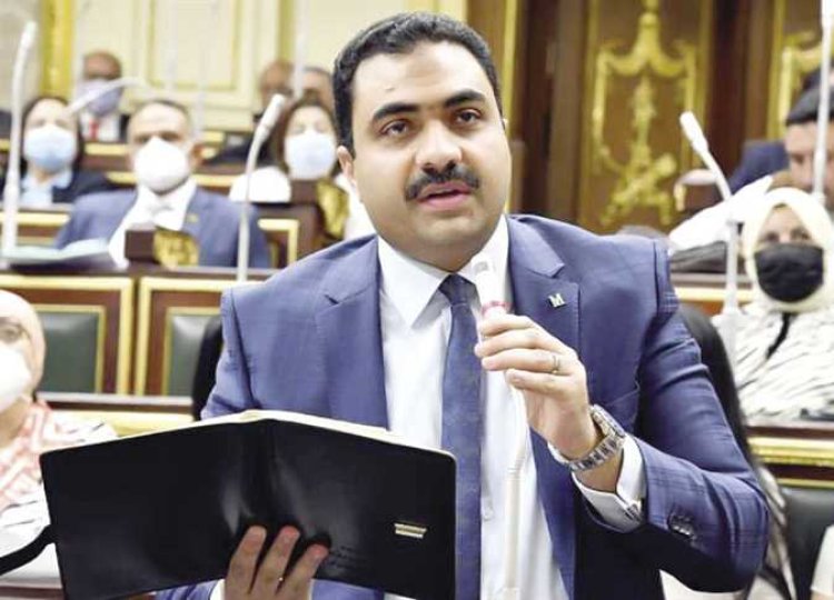 «برلماني»: تقنين السناتر التعليمية يضرب التعليم الحكومي والخاص في مقتل