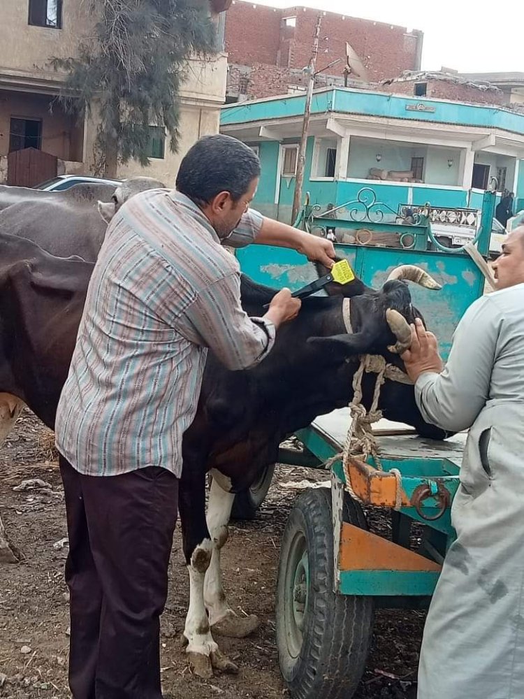 «حياة كريمة» تقدم خدماتها لأهالي مركز قطور بالغربية