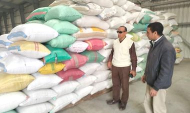 لتوفير الأمن الغذائي.. توريد 59014 طن أرز لشون البحيرة