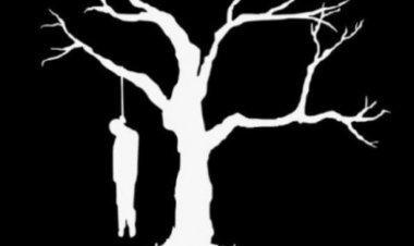 مراهق ينهي حياته شنقا بالغربية.. «حبل في شجرة أمام المقابر»