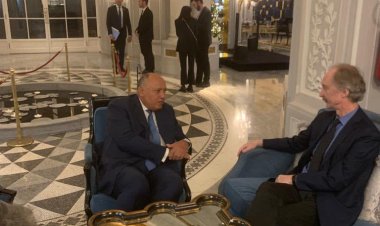 «شكري»  يؤكد أهمية الحفاظ على السيادة السورية وضرورة الحل السياسى للأزمة