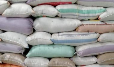 توريد 59 ألف طن أرز لشون البحيرة حتى صباح اليوم