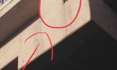 الشرطة المصرية تنقذ قطة محتجزة داخل كوبري بمدينة نصر استجابة لاستغاثة سيدة