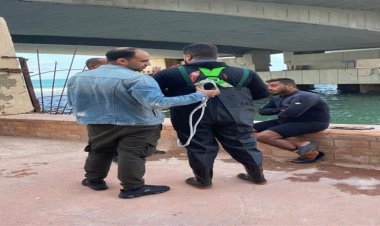 عالقة منذ 240 يوم.. إنقاذ قطة أسفل كوبري ستانلي بالإسكندرية