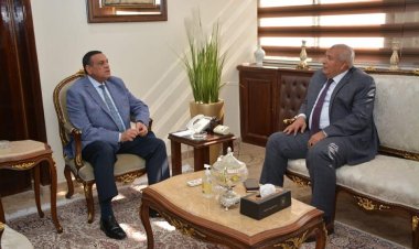 وزير التنمية المحلية ومحافظ الوادي الجديد يتابعان الموقف التنفيذي لمشروعات «حياة كريمة»