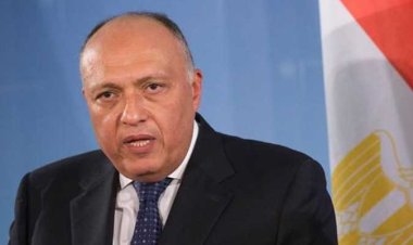 «خارجية النواب» تستضيف سامح شكري لمناقشة نجاحات قمة المناخ.. اليوم