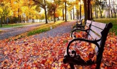 الأرصاد: طقس اليوم السبت خريفي مائل للبرودة على كافة الأنحاء