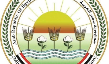 الزراعة: الإفراج عن 84 ألف طن أعلاف «ذرة وصويا»