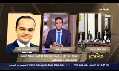 مُتحدث الحكومة:  800 مليون  دولار استثمارات من  الشركات الحاصلة على الرخصة الذهبية