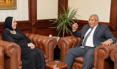 جهاز تنمية المشروعات: إنشاء مجمع مميكن جديد بالوادي الجديد