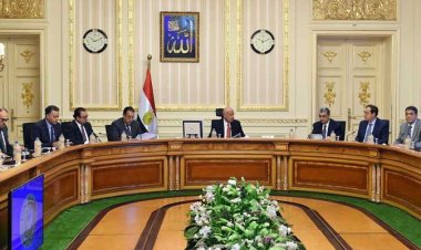 7 قرارات مهمة لمجلس الوزراء باجتماع الحكومة الأسبوعي.. «150 ألف فدان لإقامة مصانع»