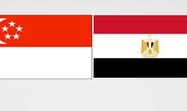 مصر وسنغافورة.. تاريخ طويل من العلاقات المتميزة