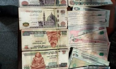 جمارك مطار برج العرب الدولي تحبط محاولة تهريب كمية من النقد الأجنبي