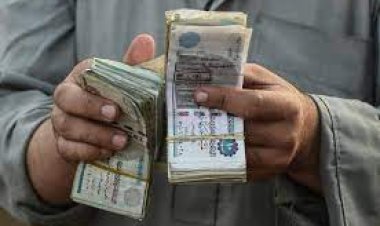 سقوط نصاب الوظائف الحكومية بالغربية