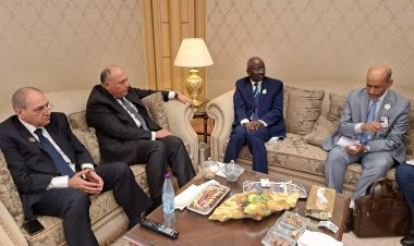 وزير الخارجية سامح شكري يلتقي نظيره الموريتاني بالرياض