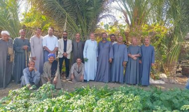 الزراعة تستعرض تقريرا حول أبرز أنشطة المعمل المركزي للنخيل خلال نوفمبر الماضي