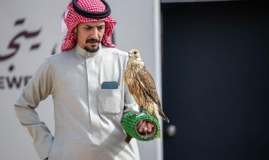 انطلاق كؤوس المؤسس للسعوديين في مهرجان الملك عبدالعزيز للصقور بـ 7 أشواط تنافسية