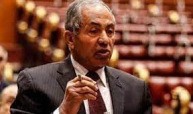 «العوضي»: استضافة مصر للاجئين العرب دليل على تبنيها لملف حقوق الإنسان