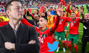 كيف هنأ إيلون ماسك أسود الأطلس في الفوز التاريخي؟