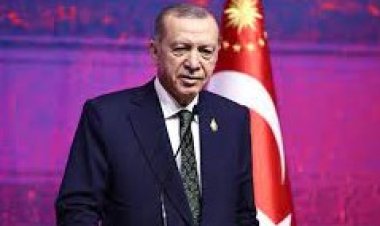 «الهجوم الإسرائيلي على غزة».. أولى مباحثات أردوغان مع السيسي بالقاهرة