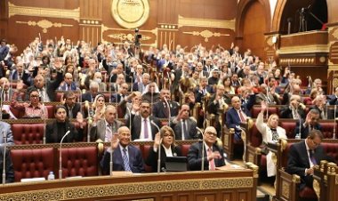 برلمانية: صندوق مصر الرقمية يتوافق مع رؤية مصر 2030