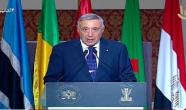 رئيس الدستورية العليا: الدولة  حريصة على احترام أحكام المحكمة وإنفاذها فور صدورها