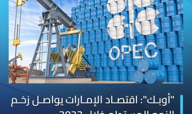 "أوبك": اقتصاد الإمارات يواصل زخم النمو المستدام خلال 2023