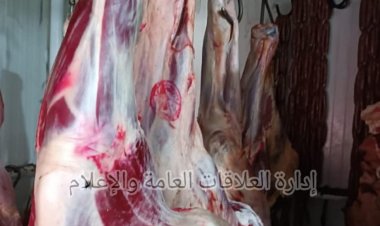 حملات بيطرية للتفتيش على محال الجزارة والمطاعم ومنافذ بيع اللحوم بالإسماعيلية