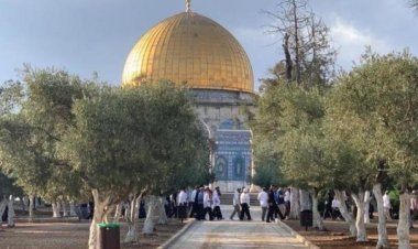 مستوطنون يقتحمون مجدداً باحات المسجد الأقصى
