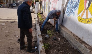 بأشجار الزينة.. تشجير أسوار  مدرسة ترسا للتعليم الأساسي