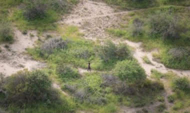 بعد نجاته.. تعرف على قصة طفل قضى 6 أيام وسط الحيوانات المفترسة