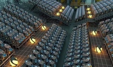 «الأرحام الصناعية» ستنجب الأجيال القادمة