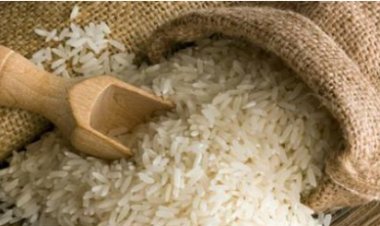 رئيس الوزراء يحدد سعر البيع  للأرز في الأسواق (تفاصيل)