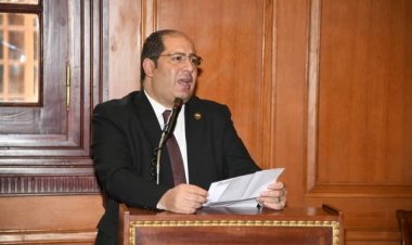 «برلماني» يكشف عن مكاسب القمة الأمريكية الإفريقية المنعقدة بـ«واشنطن»