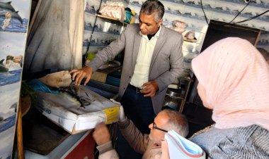 تحرير 63 محضرًا متنوعًا للمخالفين من التجار وأصحاب المخابز  بكفر الشيخ