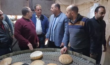 محافظ كفر الشيخ يوجه باستمرار التفتيش على الأسواق.. وتحرير 81 محضرًا متنوعًا