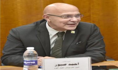 «برلماني»: العالم صار مدركًا لأهمية القارة الإفريقية في القرار الدولي
