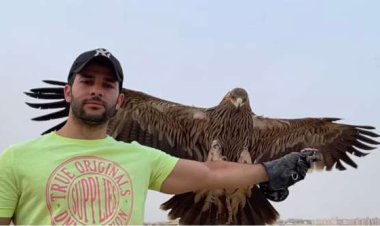 رامز أمير في مغامرة مع العقاب في «الجارح»