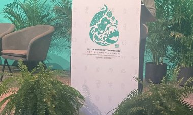 وزيرة البيئة تشارك في حوار رؤساء وكالات الأمم المتحدة حول تعهدات الالتزام بنهج مشترك للتنوع البيولوجي