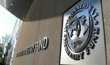 صندوق النقد يتوقع إتاحة تمويل إضافي لمصر بقيمة 14 مليار دولار بخلاف القرض