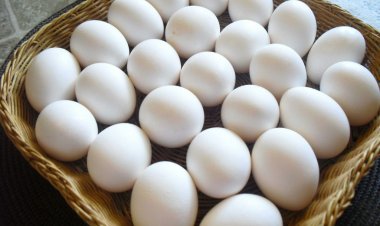 أسعار البيض اليوم السبت 17-12-2022