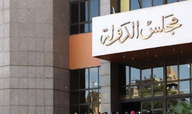 تأجيل دعوى المحامين عن الفاتورة الإلكترونية لـ 12 يناير