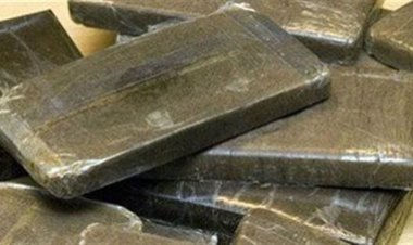 مباحث كفر الشيخ تضبط شخصان بحوزتهم 8كيلو حشيش وهيروين