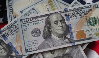 قفز بنسبة 63.7%.. ما هي تحركات سعر الدولار بالنسبة للجنيه المصري خلال 2022؟