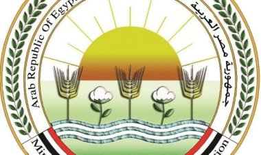 الزراعة: الإفراج عن 145 ألف طن أعلاف الذرة والصويا بحوالى 70 مليون دولار