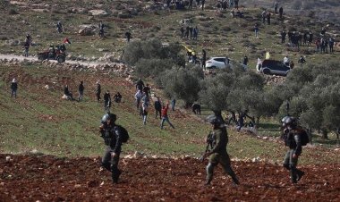 مستوطنون يعتدون على ممتلكات الفلسطينيين شمال الضفة الغربية