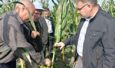 الزراعة تواصل استعدادها لمكافحة آفات المحاصيل الشتوية