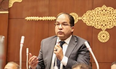 «اللمعي»: المشروعات الجديدة بالمنطقة الاقتصادية لـ«قناة السويس» ستحولها مركزًا عالميًا للتجارة
